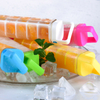 BPA Free New Portable Plastic Drinking Water Bottle with Ice Tray