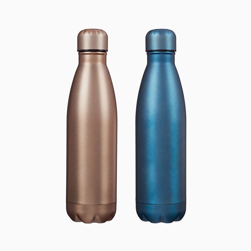 stainless steel wine bottle