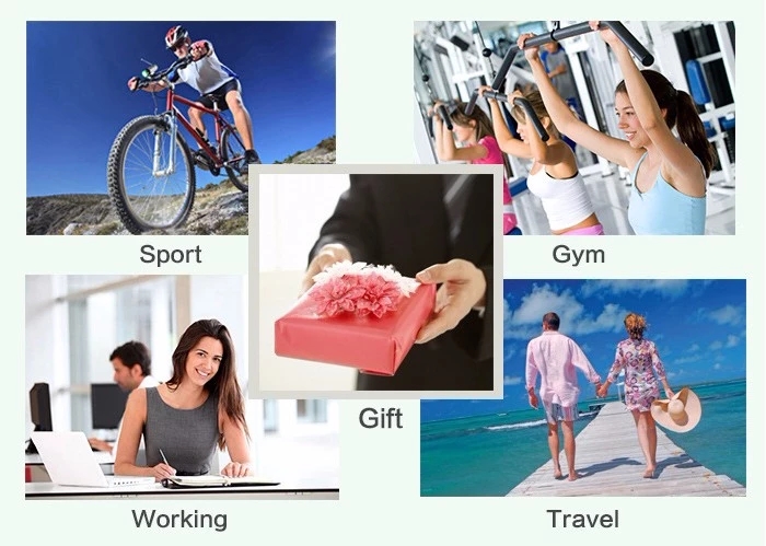 portable fruit infuser supplier