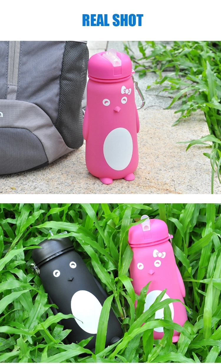 Filtration Water Bottle
