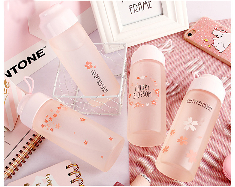  gift Scrub water bottle