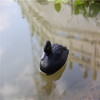 Outdoor Plastic Garden Decoration Ornaments Duck Hunting Decoys Animal Bait Shooting