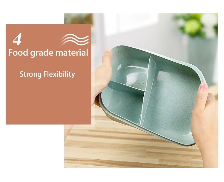 multifunctional plastic bento supplier