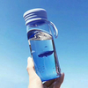 Free Sample Best Quality Tritan BPA Free Sport Plastic Sport Water Bottles With Handle And Straw