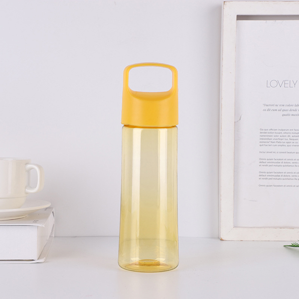 Custom Portable Environment-friendly Color Cold Water Bottle Outdoor Sports Handle Plastic Bottles