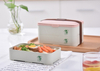 2 Layers Microwave safe Portable Bamboo Tiffin Lunch Box Biodegradable Material 